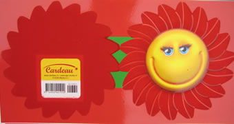 包裝材料植絨加工 產品詳情